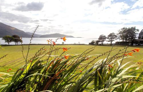 Ash, Birch and Rowan Self Catering Cabins - Photo 39