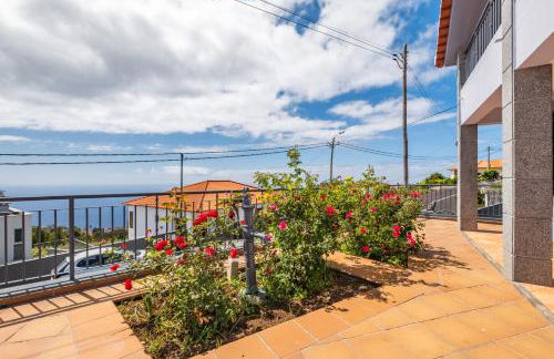 Linda Paisagem - Foto 43