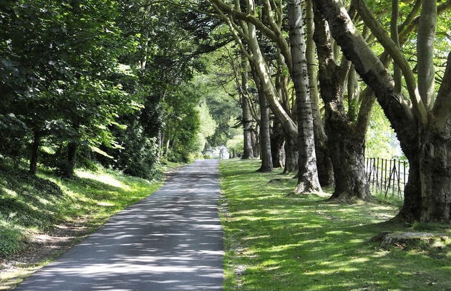 Plas Maenan Country House - Foto 13