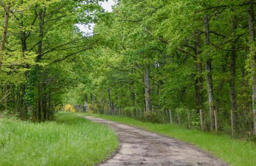 Cottage Mackinley, séjour spacieux et chaleureux, salon de jeux, grande salle à manger, 15 pers, Centre Historique, gare TER - Foto 54