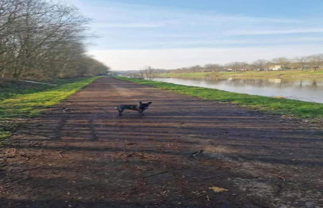 Luxurious Holiday Home With Sauna in Fauvillers - Foto 38