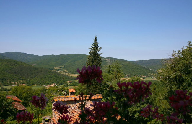 Wonderful private villa for 16 people with WIFI, private pool, TV and parking - Photo 39