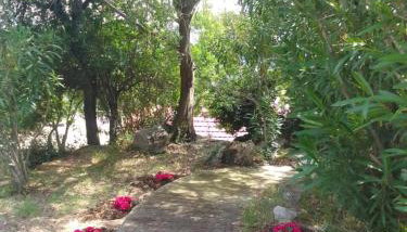 Perky Roses Home, Mountain Meets Sea in Milies, Pelion - Foto 4, Garden, Garden view