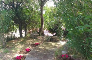 Perky Roses Home, Mountain Meets Sea in Milies, Pelion - Foto 4