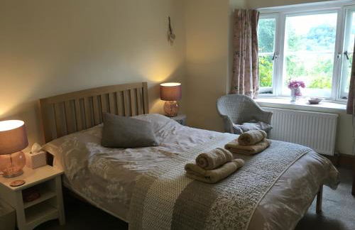 200 year old Gardener's cottage, Mid Wales - Foto 16