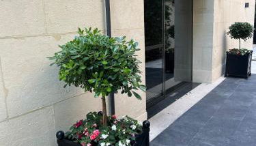 Studio dans le quartier luxe - Foto 4