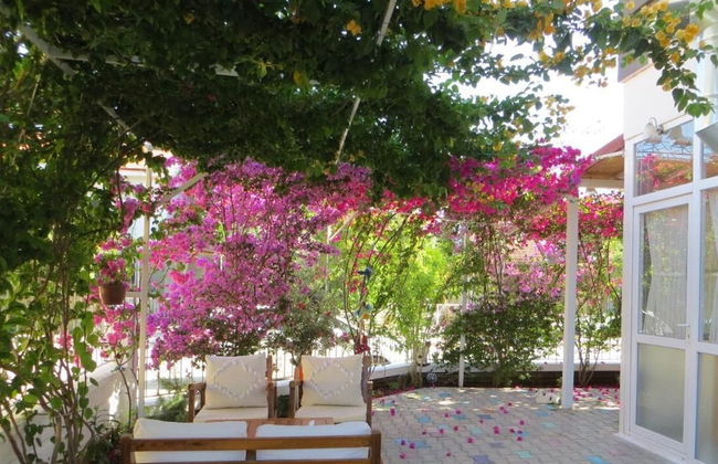 Begonvil Garden Apart - Photo 46