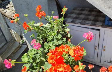 Coccinella House - Foto 6