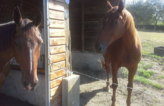 Roulotte et Gîte chambres d'hôtes - Foto 37