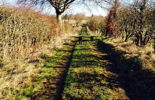 Central Scotland Country Side With Outdoor Bbq Hut - Foto 39
