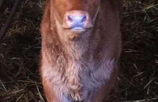 Whitchurch Farm Guesthouse - Foto 31