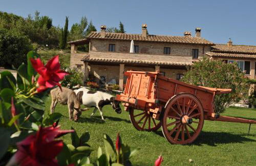 Farm stay Il Carro del Colle - Foto 1