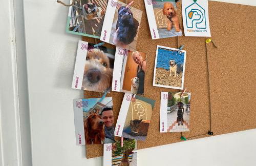 La Casa di Pamy - Foto 8