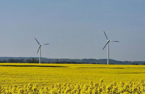 Wydmy Wiatr - Foto 47