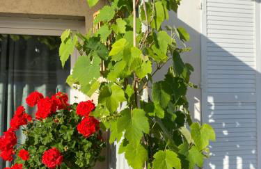 Monolocale COCO74 - Foto 10