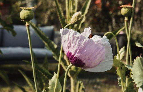 Appartamento a Villa Rosa - Foto 41