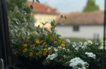 Ferienwohnung am Teich - Foto 13