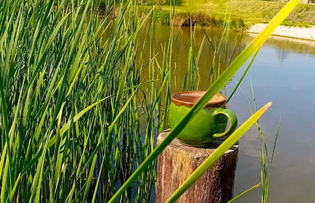 2 bedroom House in Lwówek Śląski with garden and terrace - Photo 40