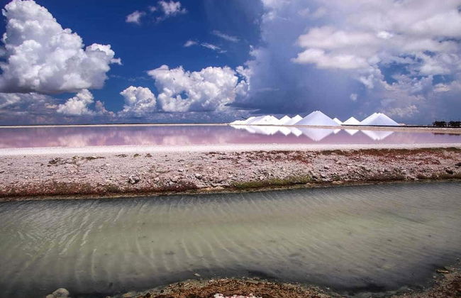 Tour del sud di Bonaire - Foto 6