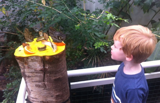 1 Lathom Avenue - Foto 67