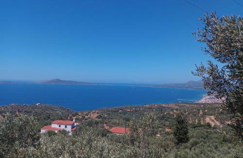 Λιθόκτιστη παραδοσιακή οικία - Foto 34