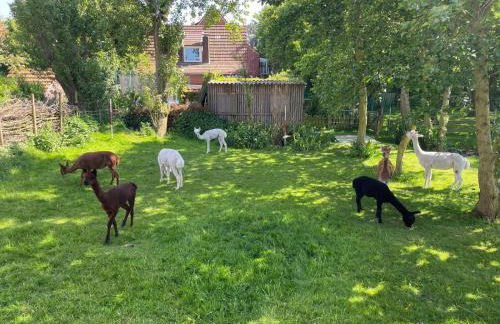 Inselhuuske Fewo I I - Foto 29