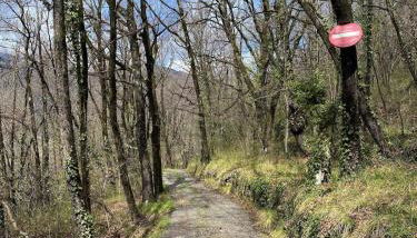 Le Soleil de Flaut Beautiful studio house Nature - Foto 5