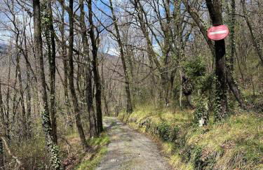 Le Soleil de Flaut Beautiful studio house Nature - Foto 5