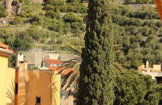 Les Agrumes - Foto 50