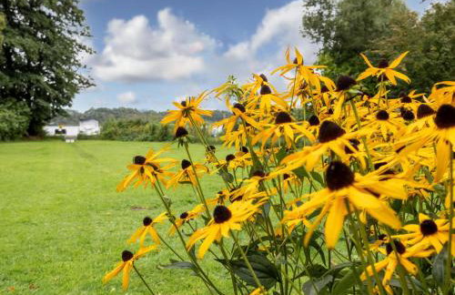 Nelsen mit Ruderboot auf Wassergrundstück - Photo 28