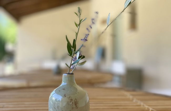 Mas Millésime - Foto 53