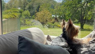 Kuća Šuma - Foto 4