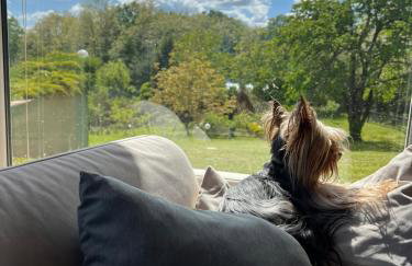 Kuća Šuma - Foto 4