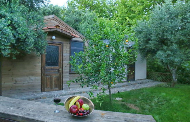 Captain Ikaros - Foto 53