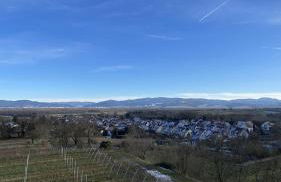 Ferienwohnung Glöckler - Foto 23