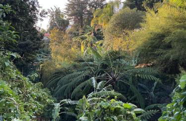 Casa Žerotín - Foto 49