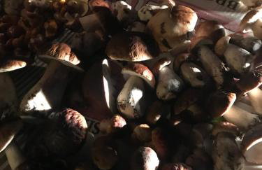 Zezuj Agroturystyka i Łowisko - Photo 2