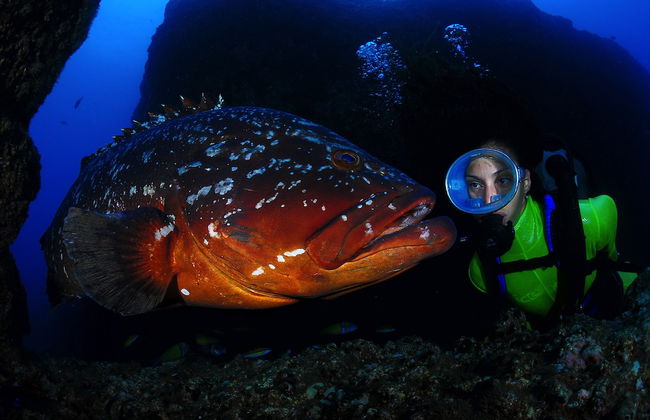 Dom Pedro Garajau - Foto 43