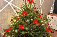 Leśna Ostoja - Foto 71