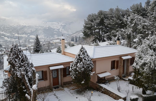 Finday Eco Boutique Hotel - Foto 51