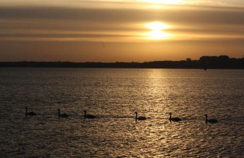 Ferienwohnung Düne mit Kamin und 2 Bädern in Boltenhagen - Foto 54