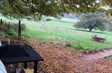 Farm woodland riverview cabin bbq firepit pet friendly - Foto 8