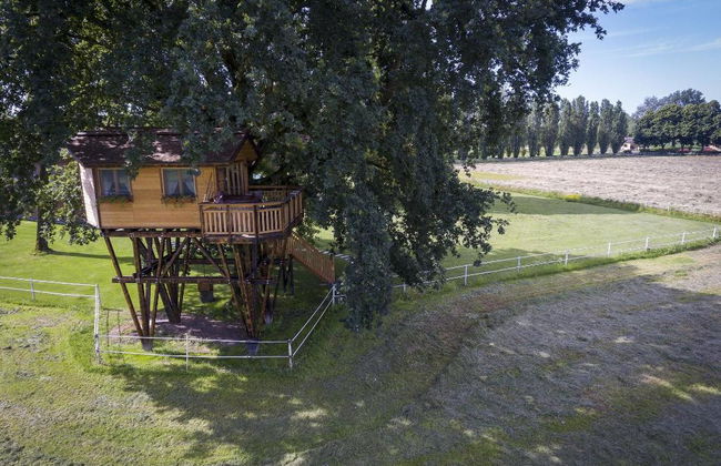 Agriturismo Relais Tenuta Il Cigno - Photo 35