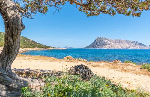 Volpe by DomusAway - Foto 18