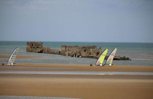 Les chats pitres Maison au calme rénovée avec jardin, terrasse aménagée, transats, abri à vélo, parking gratuit, 5 mn à pied du centre Bayeux proche des plages du débarquement - Photo 35