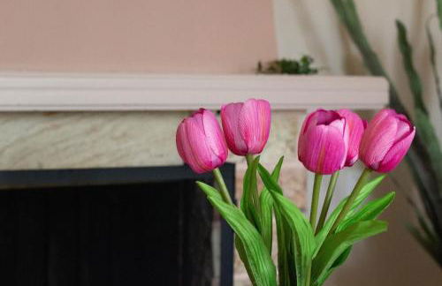 Anni's Home - Photo 1