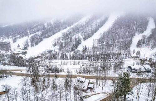 Chalet Across from Holiday Valley Walk to Lifts - Foto 53