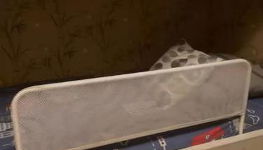 Le Mieukerien - Réserve africaine 15 mn - Plage 200 m - Foto 5