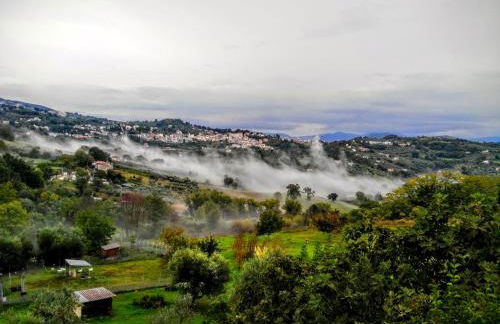 La casa Nettarina - Foto 31