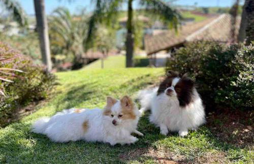 Casa de Campo 3 suites - Atibaia 60 Km SP proximo ao TAUÁ - Foto 13